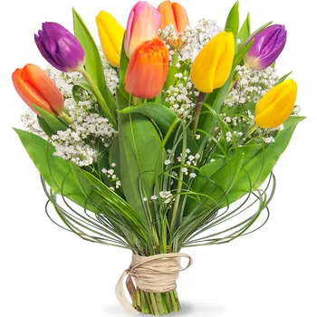 Flowers- colourful tulips