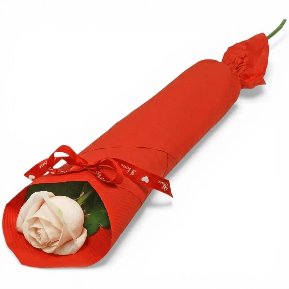 Elegant rose