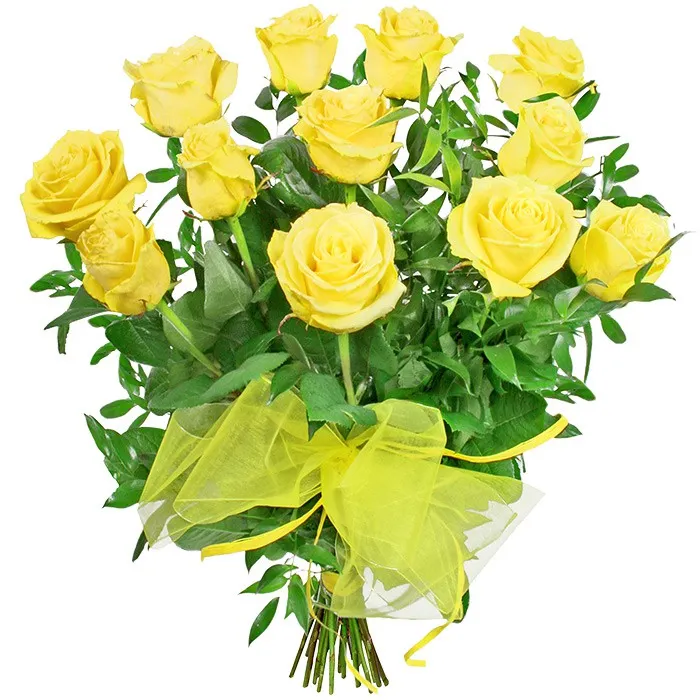 Sunny flowers