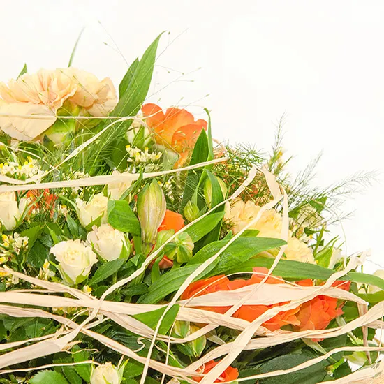 26009_2.jpg