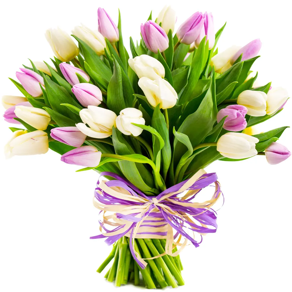 28017TulipanynaDzienKobiet.jpg