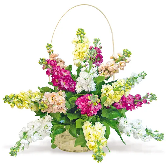 Composition with gillyflowers