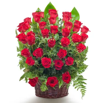 Kosz czerwonych róż na pogrzeb