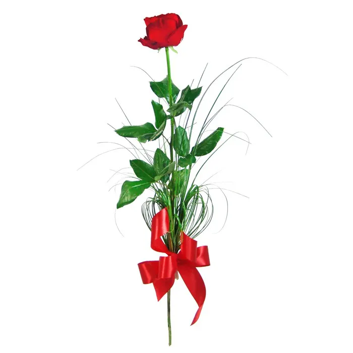 49jS4N5JzlVv_1001_elegancka_roza_www.jpg