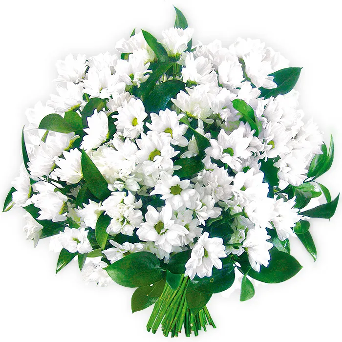 Condolences flowers