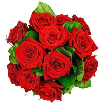 Tantalizing Red Roses