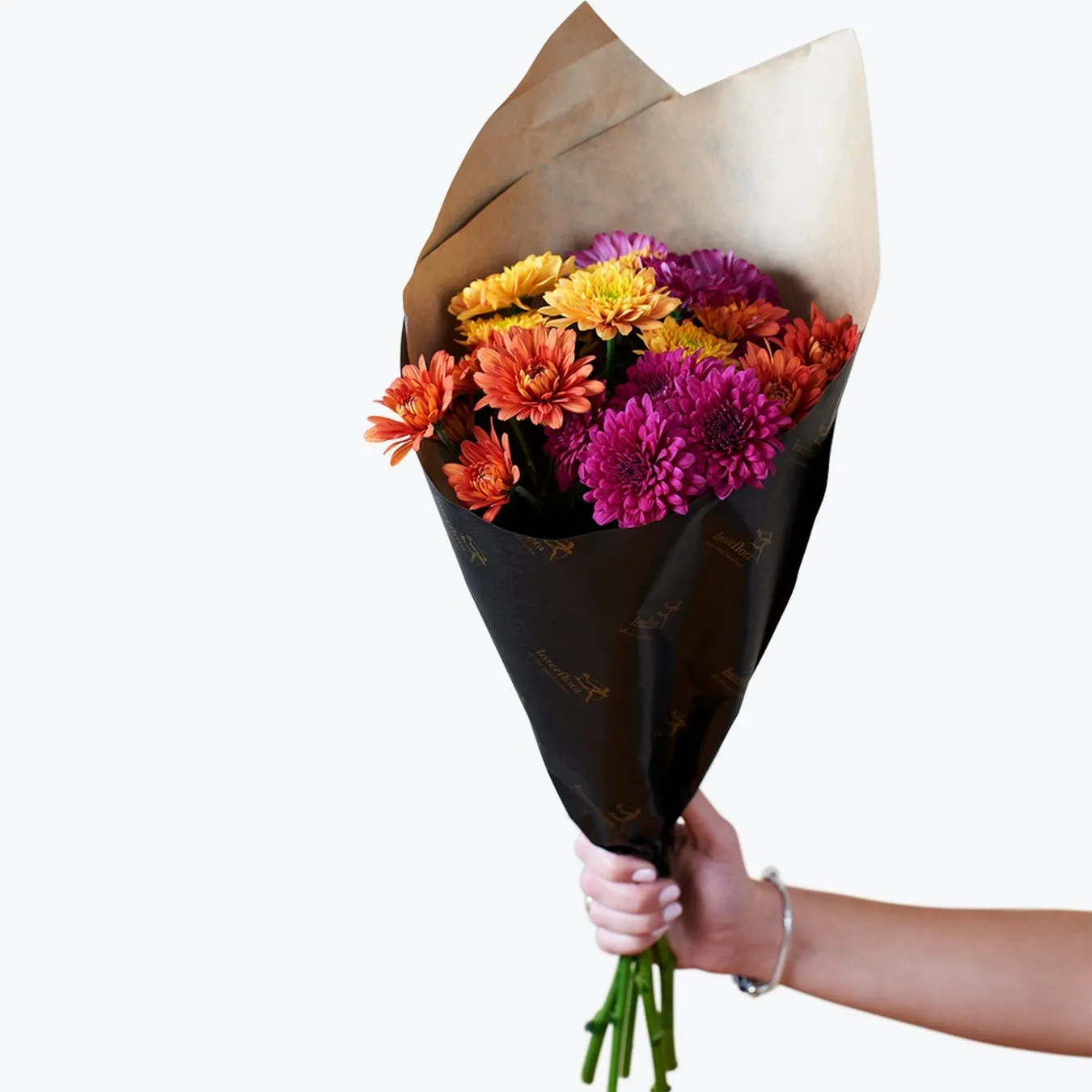 Chrysanthemum for fall Small