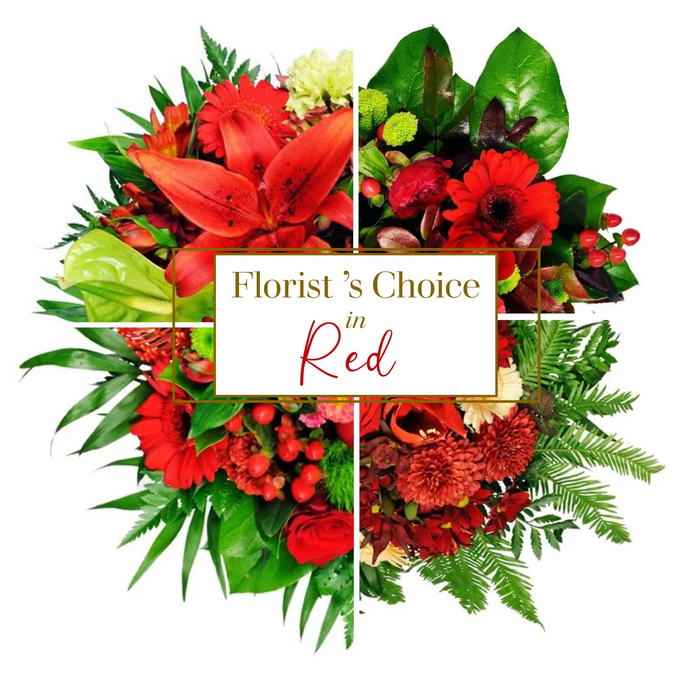 583019.jpg