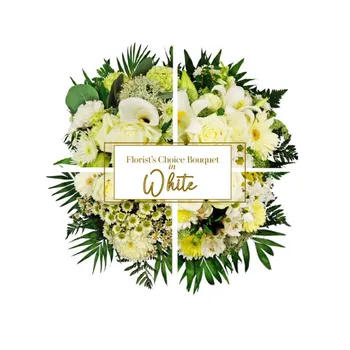 White Blooms