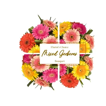 Florist's Choice - Gerbera Bouquet