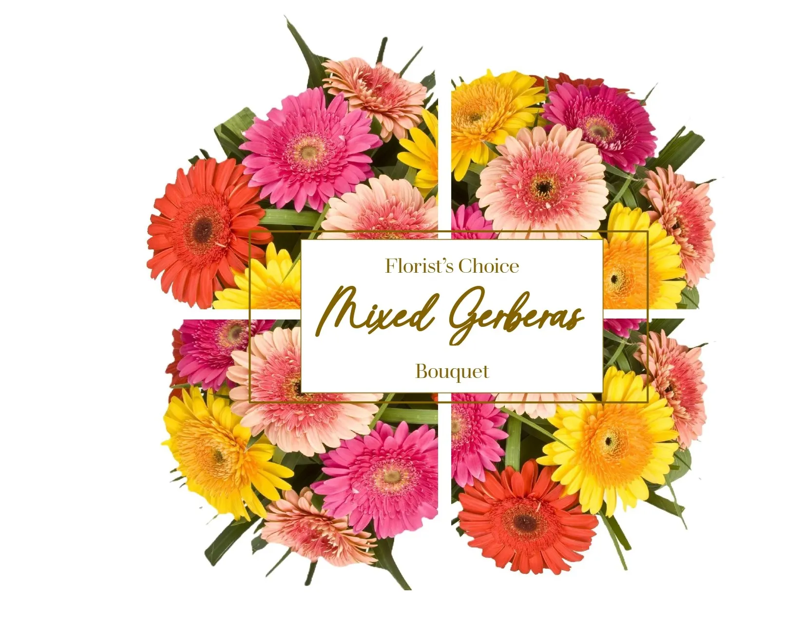 Wybór kwiaciarni - bukiet gerber