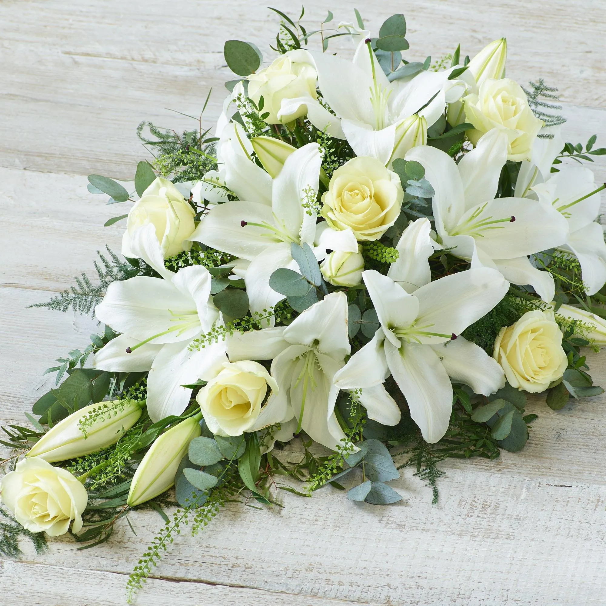 612443.jpg