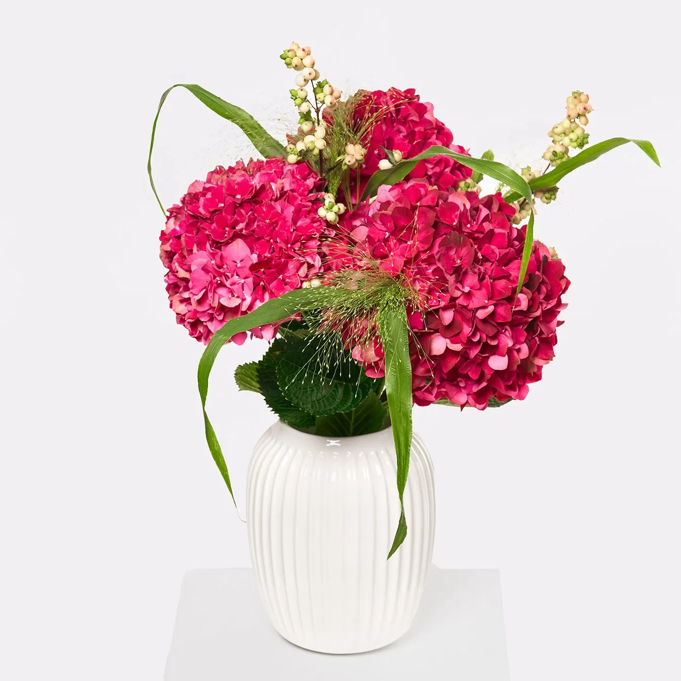 Hydrangea Delight