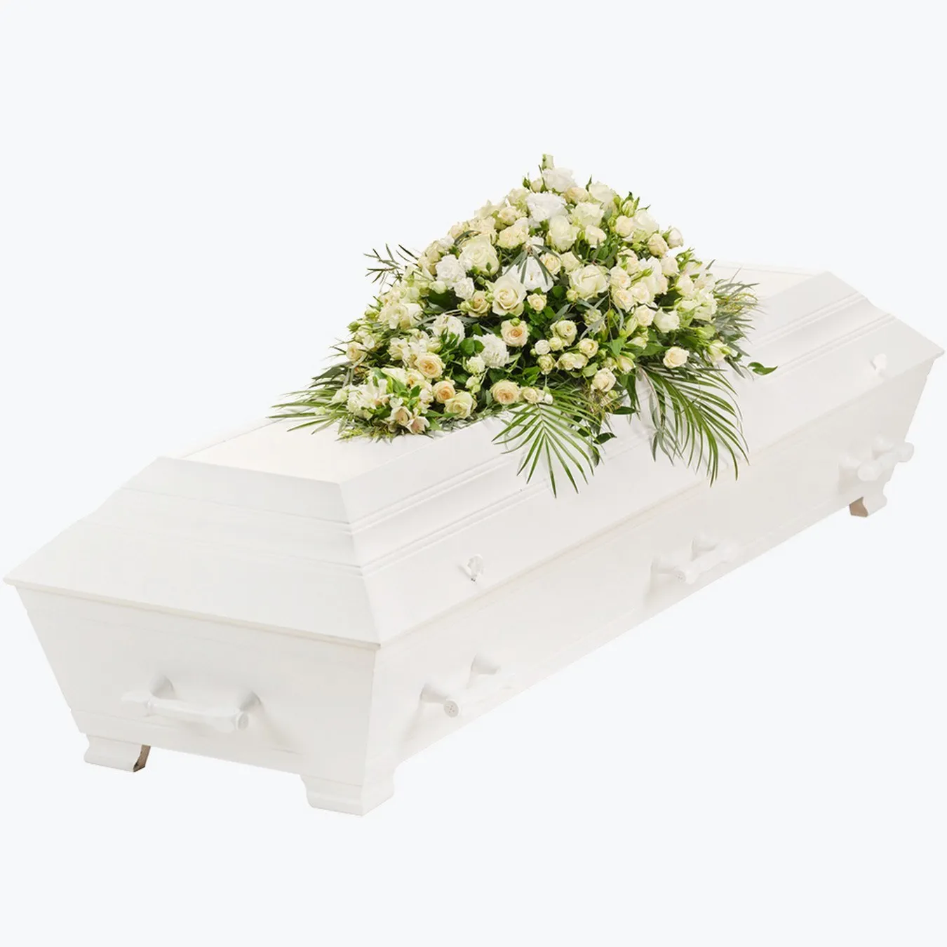 678485.jpg