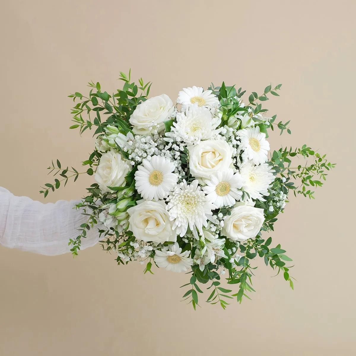 678486.jpg