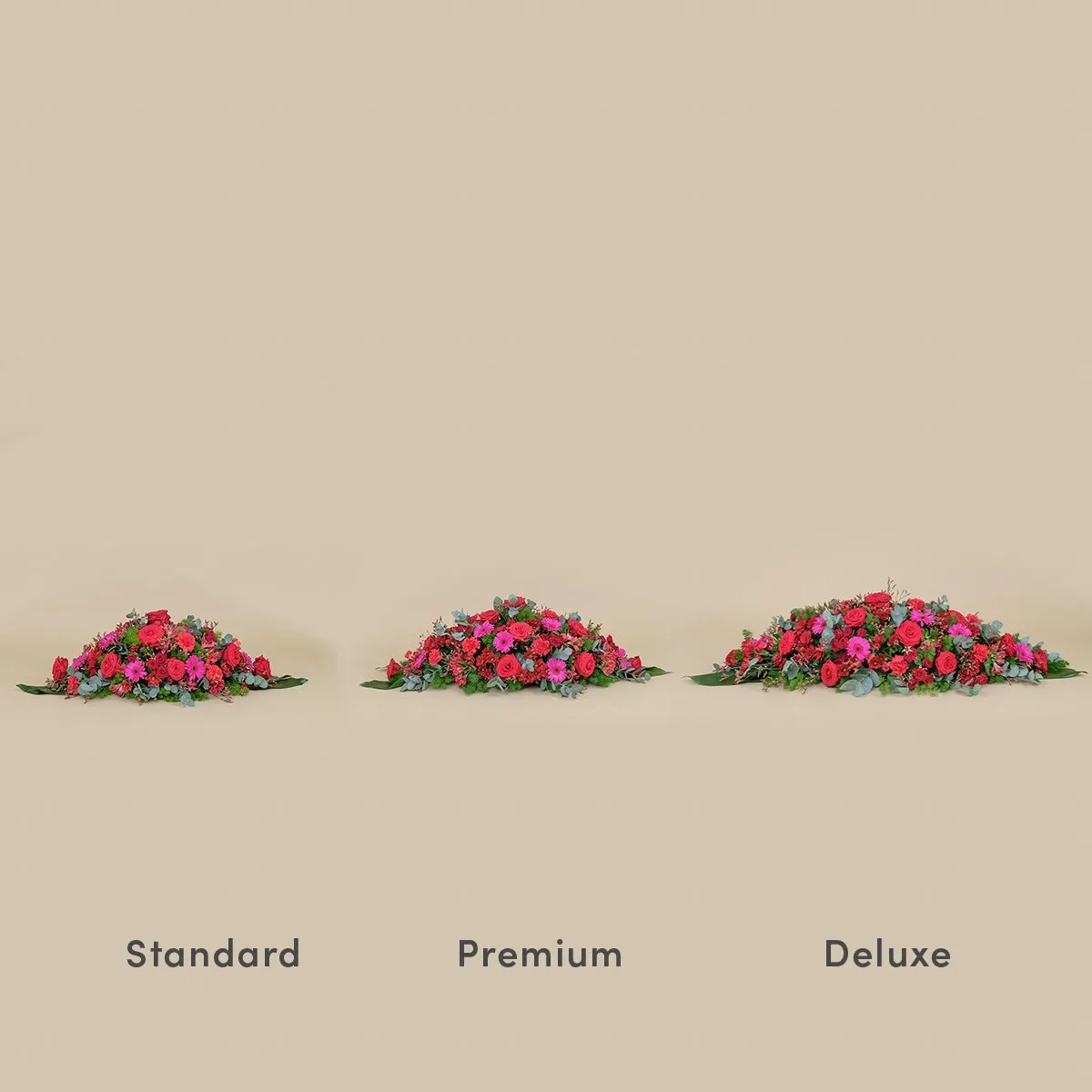 678503.jpg