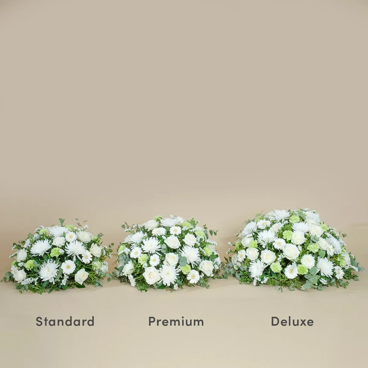 678509.jpg