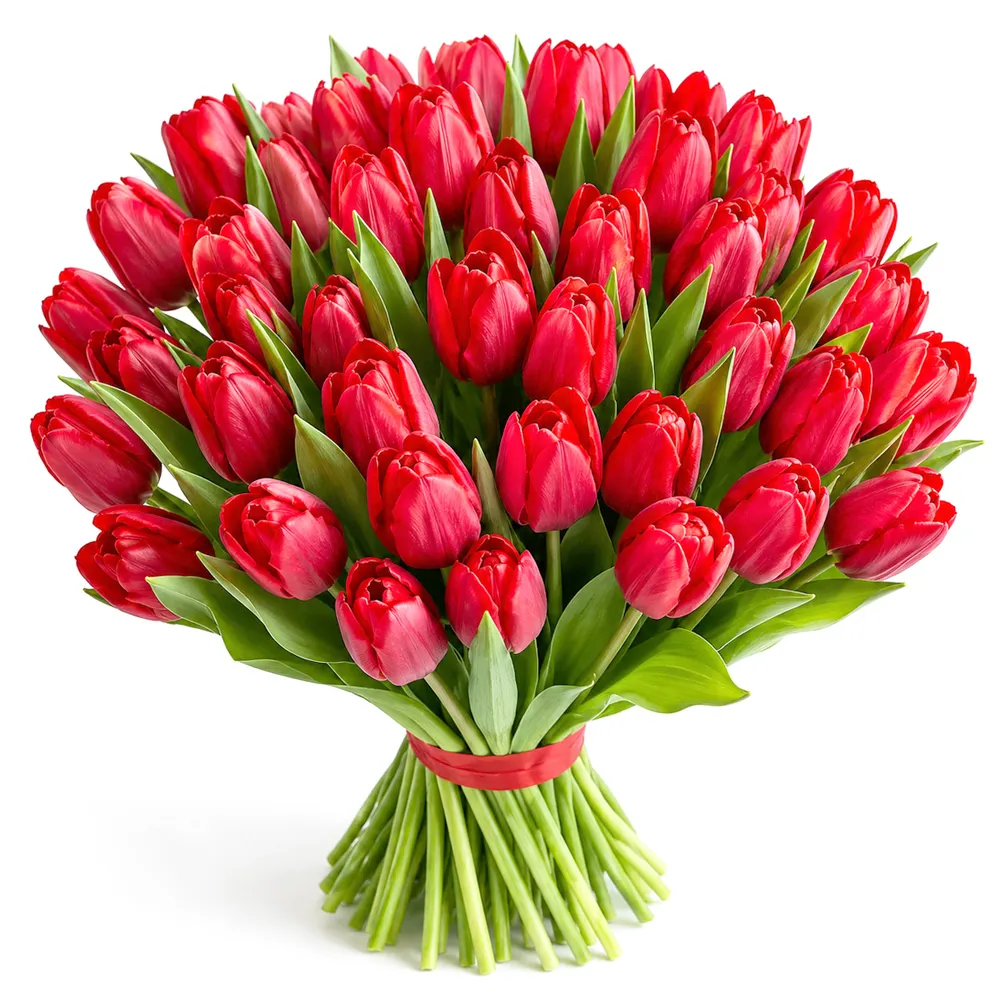 81000_1000x1000px.jpg
