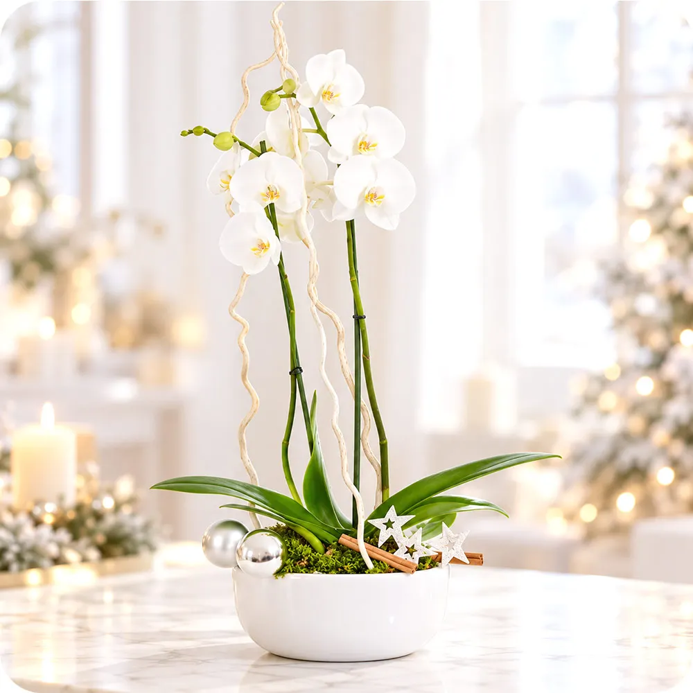 Orchid Centerpiece