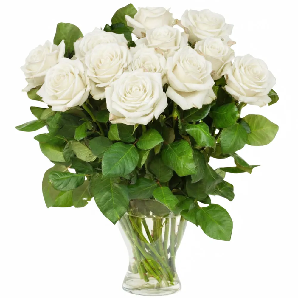 12 white roses