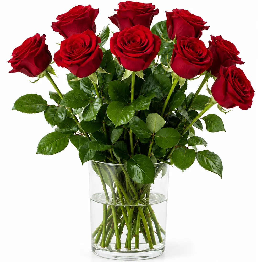 9800005_1000x1000px.jpg