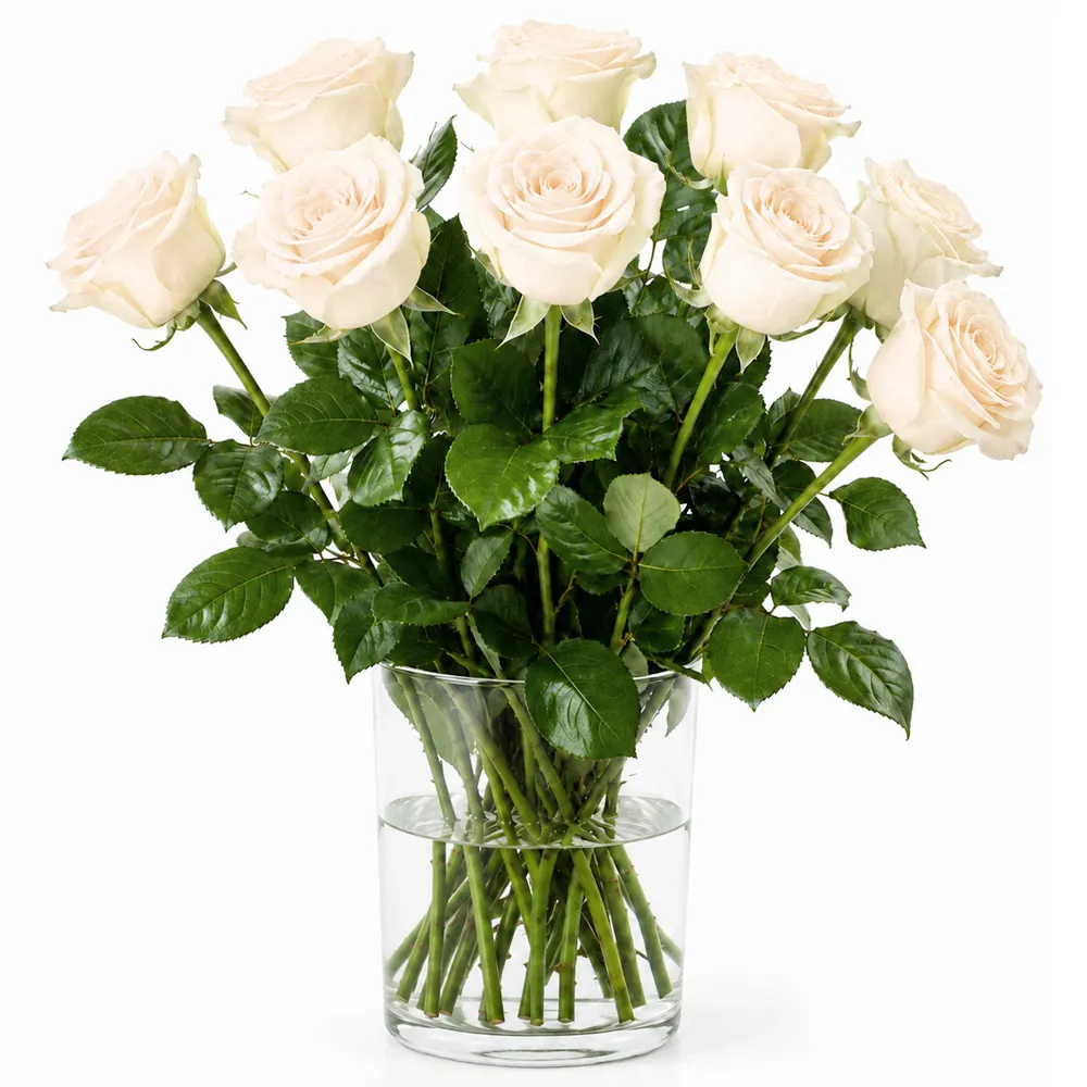 9800008_1000x1000px.jpg