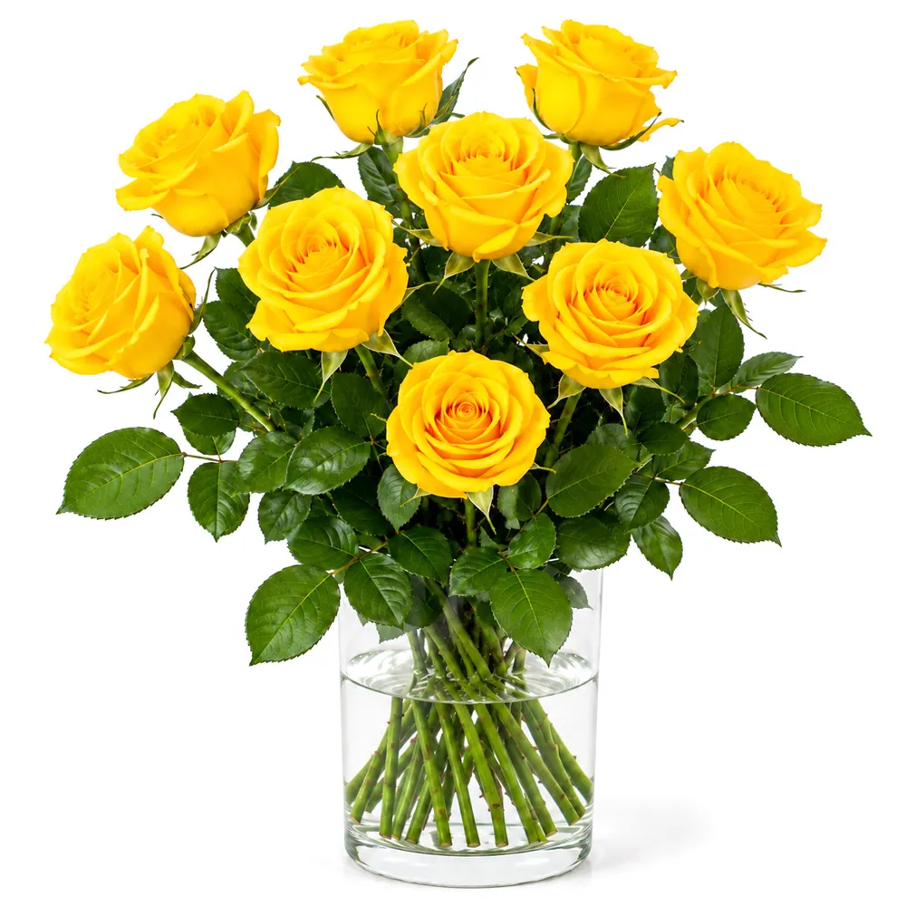 9800009_1000x1000px.jpg