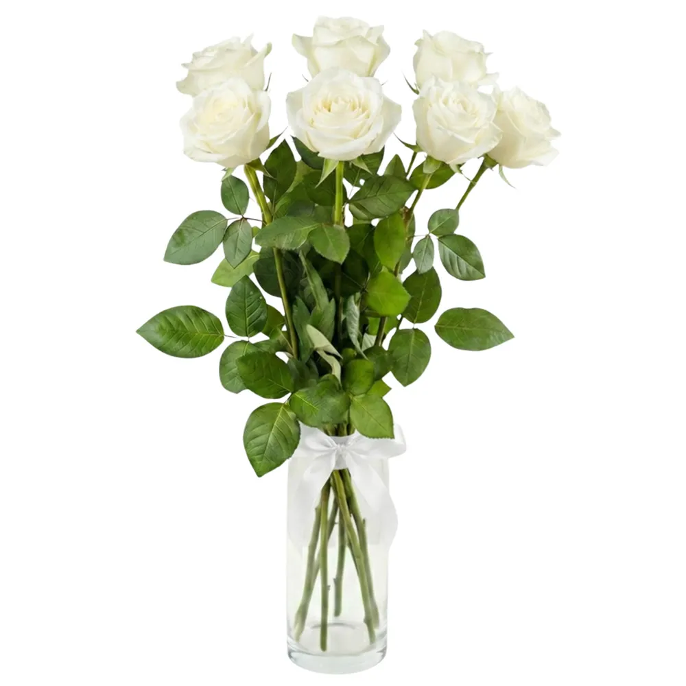 9800013_1000x1000px.jpg