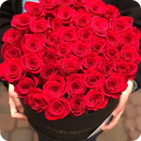 9930001_2_1.jpg