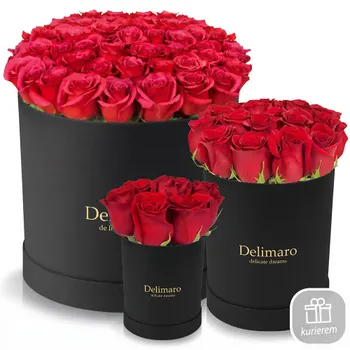 Red roses in a black box