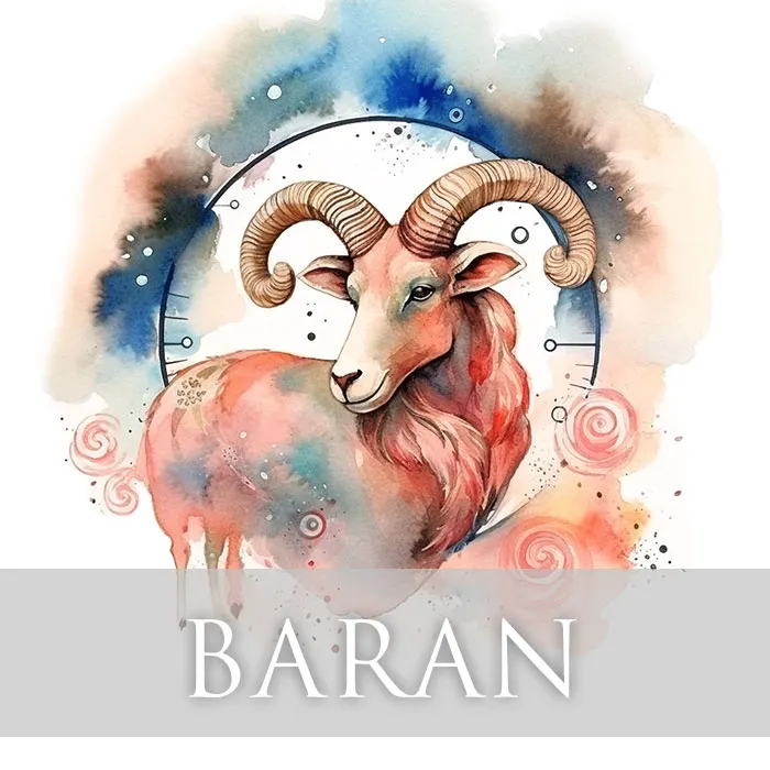 baran.jpg