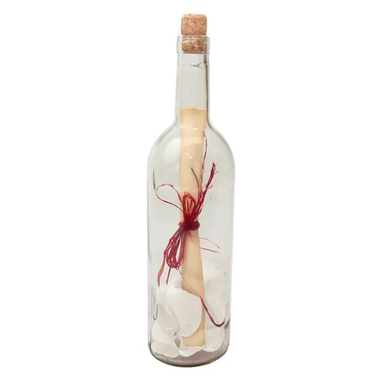 Letter in a bottle - A. Asnyk "To the Young"
