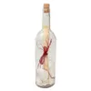 Letter in a bottle - A. Asnyk "To the Young"