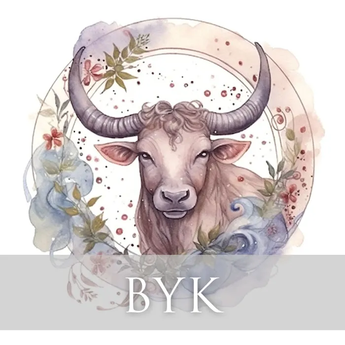 byk.jpg