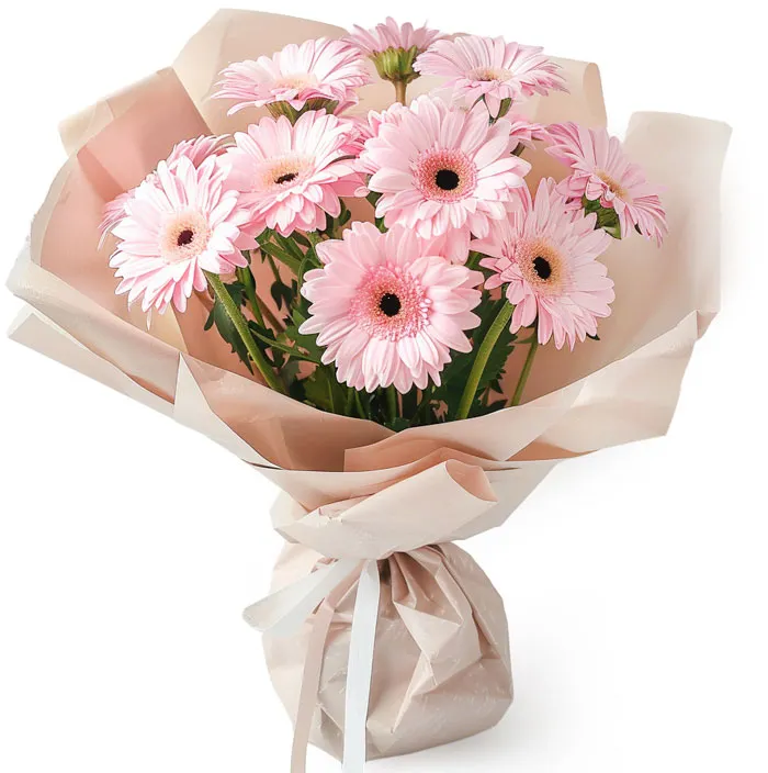 gerbera.jpg