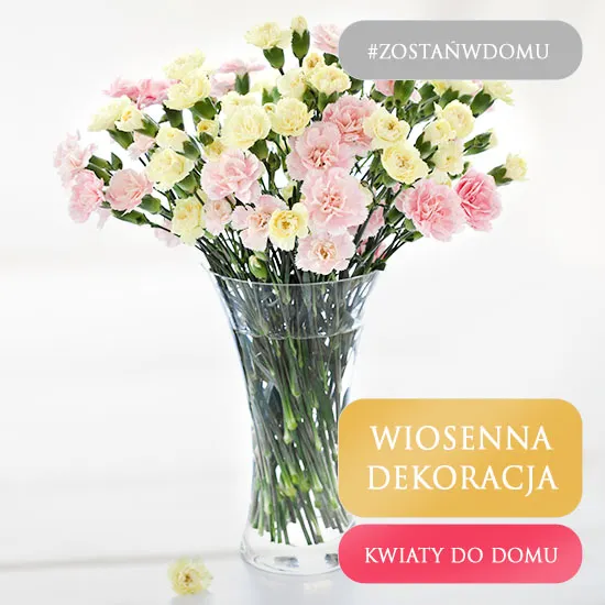 kwiaty_do_domu_gozdziki.jpg