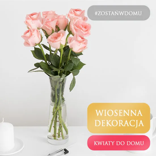 Kwiaty do domu - Róże