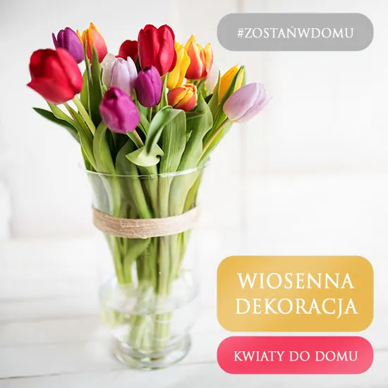 Kwiaty do domu - Tulipany