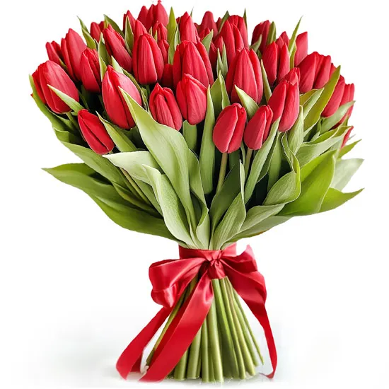milosne_tulipany.jpg
