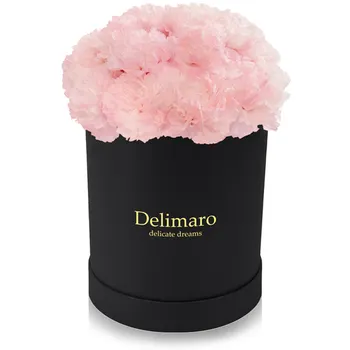 Pink carnations in a black box