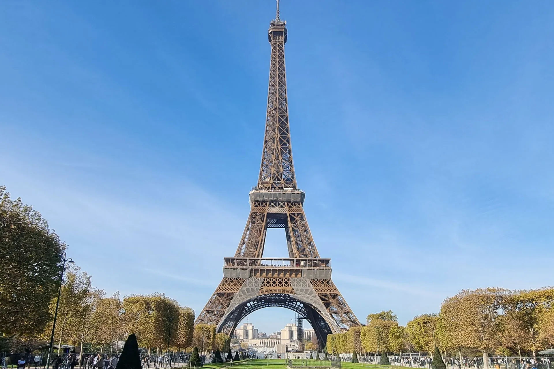 Kwiaty do Francji