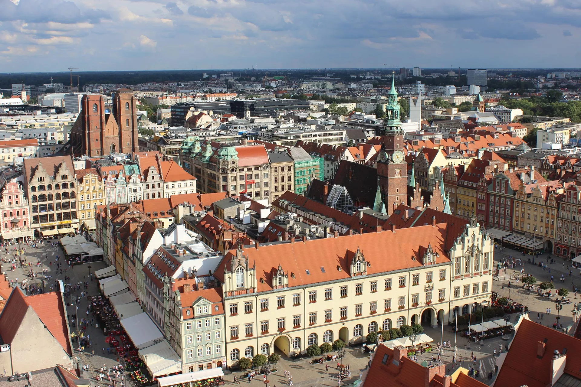 Kwiaty do Wrocławia